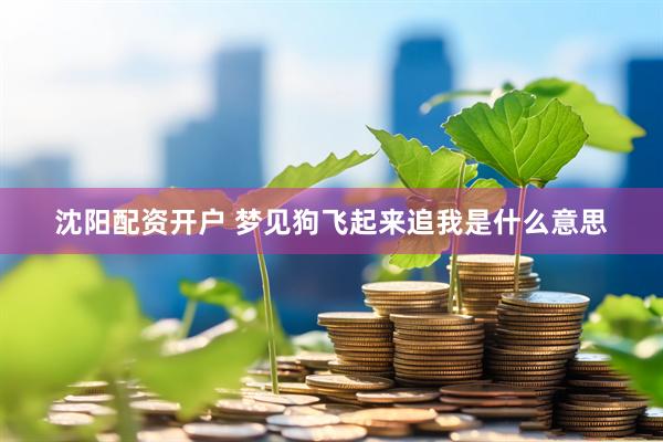 沈阳配资开户 梦见狗飞起来追我是什么意思