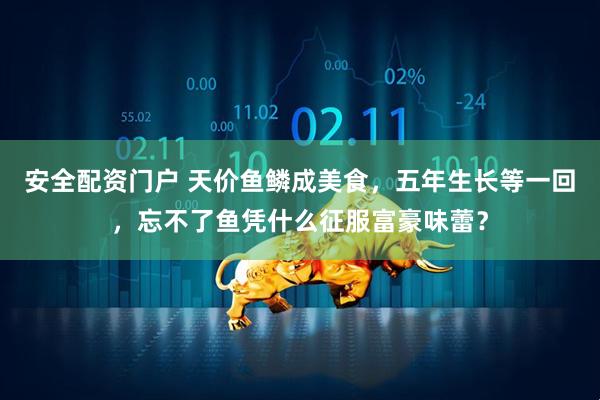 安全配资门户 天价鱼鳞成美食，五年生长等一回，忘不了鱼凭什么征服富豪味蕾？