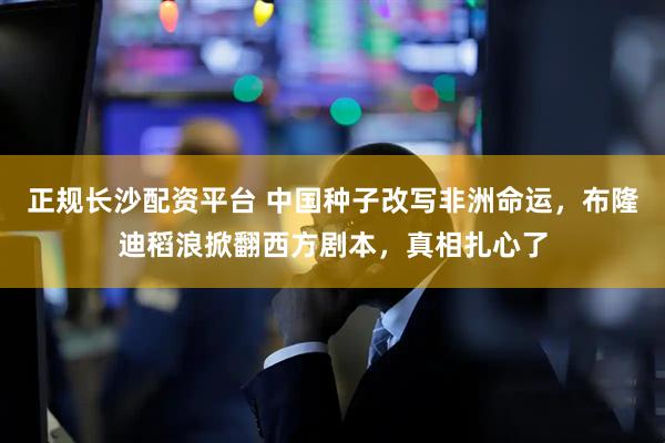 正规长沙配资平台 中国种子改写非洲命运，布隆迪稻浪掀翻西方剧本，真相扎心了