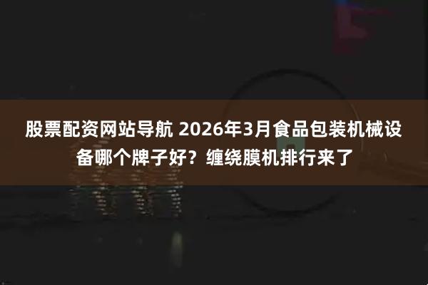 股票配资网站导航 2026年3月食品包装机械设备哪个牌子好？缠绕膜机排行来了