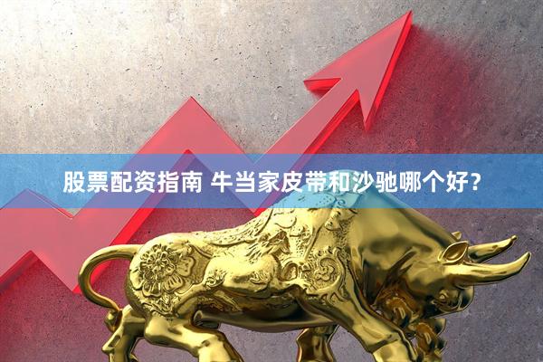 股票配资指南 牛当家皮带和沙驰哪个好？