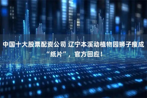 中国十大股票配资公司 辽宁本溪动植物园狮子瘦成“纸片”，官方回应！